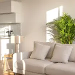 Edition 147 - Luxury Housing *